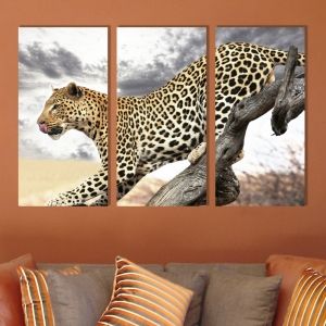 0245 Wall art decoration (set of 3 pieces) Leopard