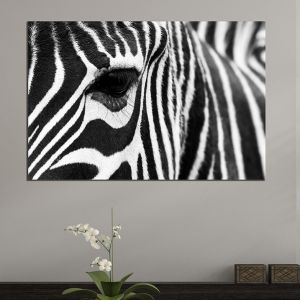 0421 Wall art decoration Zebra