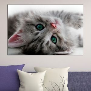 0424 Wall art decoration Sweet cat