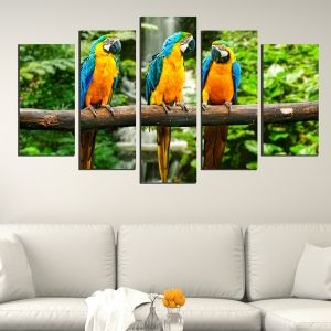 0429 Wall art decoration (set of 5 pieces) Parrots