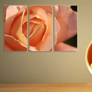 0072 Wall art decoration (set of 3 pieces) Orange rose