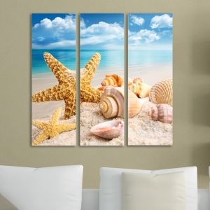 0043 Wall art decoration (set of 3 pieces) Sea creatures