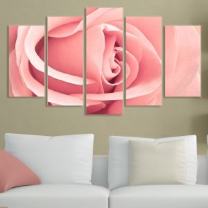 0071 Wall art decoration (set of 5 pieces) Pink rose