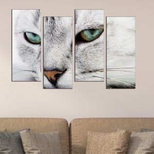 0121 Wall art decoration (set of 4 pieces) Cat eyes