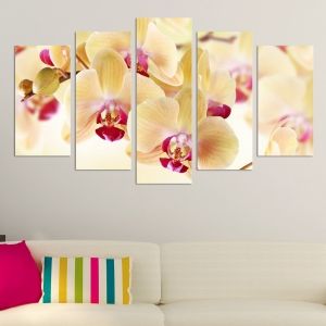 0139  Wall art decoration (set of 5 pieces) Loving orchids