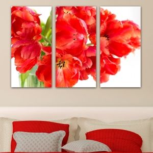 0142 Wall art decoration (set of 3 pieces) Beautiful poppies