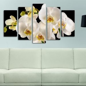 0143  Wall art decoration (set of 5 pieces) White orchids on black background