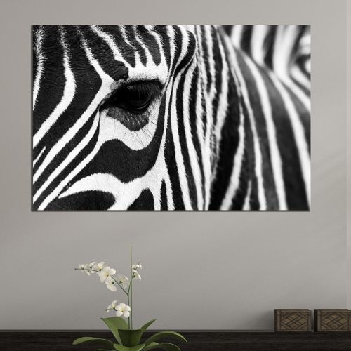 Wall art decoration black and white Zebra