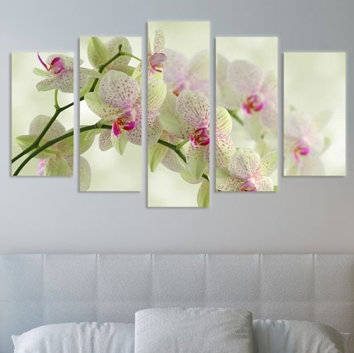 0093 Wall art decoration (set of 5 pieces) White orchids