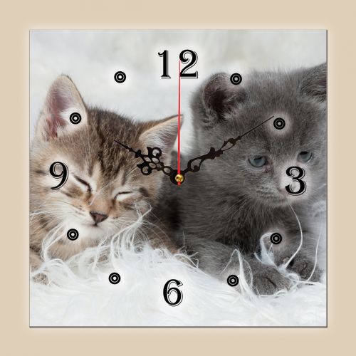 C0025_1 Clock with print Cute kitties