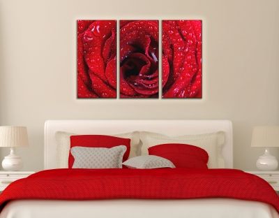 Wall decoration set red rose