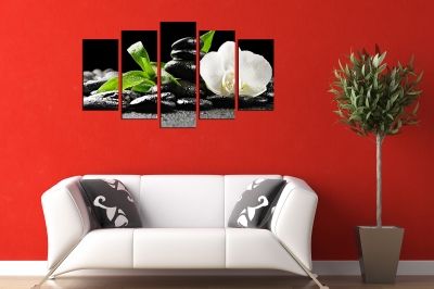 white orchid canvas wall art