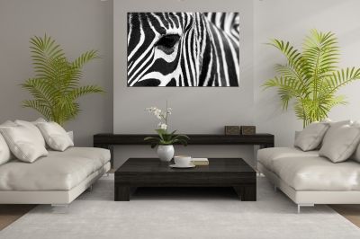 Canvas wall art Zebra - black and white