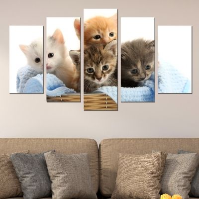 0425 Wall art decoration (set of 5 pieces) Cute kittens