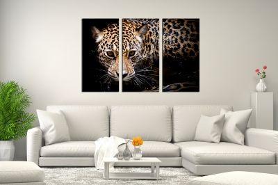Wall art canvas set of 3 pieces for bedroom Jaguar