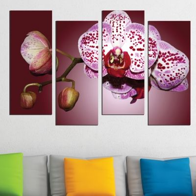0502  Wall art decoration (set of 4 pieces) Beautiful orchid
