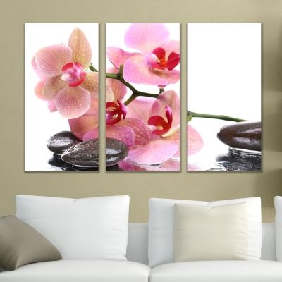 Canvas wall art with pink orchids on white background