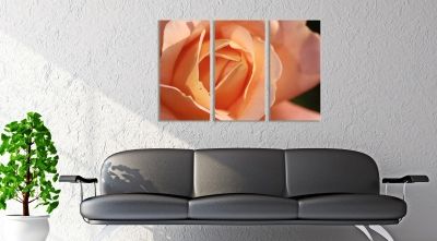 Wall art decoration for living room