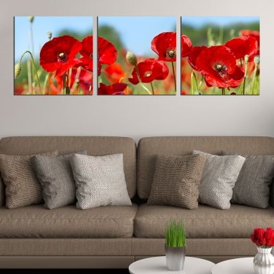 0626 Wall art decoration (set of 3 pieces) Poppies