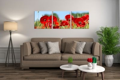Wall art decoration Red poppies