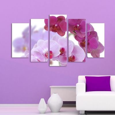 0099 Wall art decoration (set of 5 pieces) Beautiful orchids