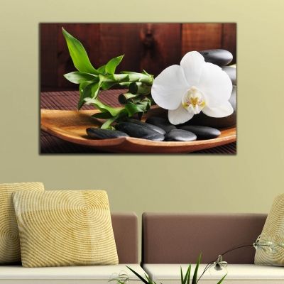 Картина за стена бяла орхидея на кафяв фон