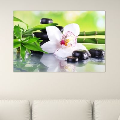 Картина за стена бяла орхидея на зелен фон