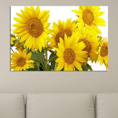 0204_1 Wall art decoration Sunflowers