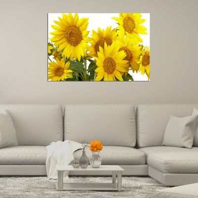Canvas wall artred sunflowers