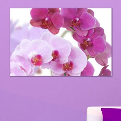 Wall art decoration beautiful purple orchids