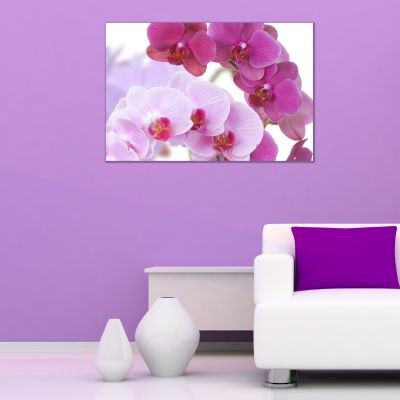 Canvas wall art  with orchids purple
