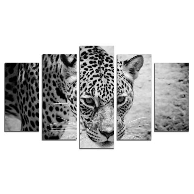 0431 Wall art decoration (set of 5 pieces) Jaguar