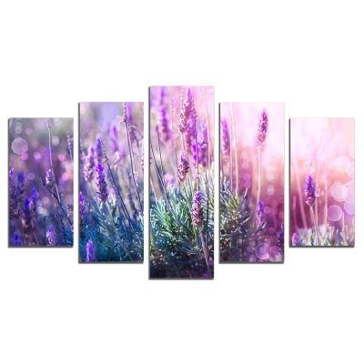 0443 Wall art decoration (set of 5 pieces) Levender