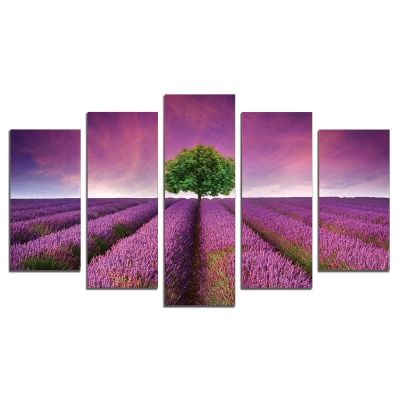 0501 Wall art decoration (set of 5 pieces) Landscape with lavender field