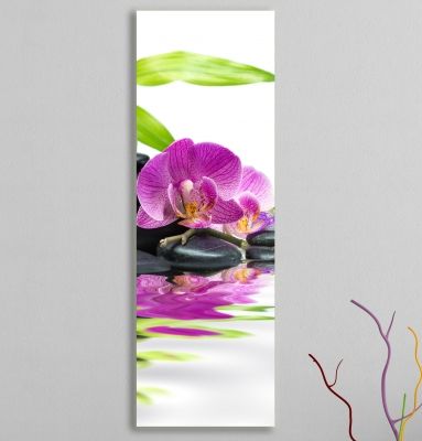 wall decoration with orchid
