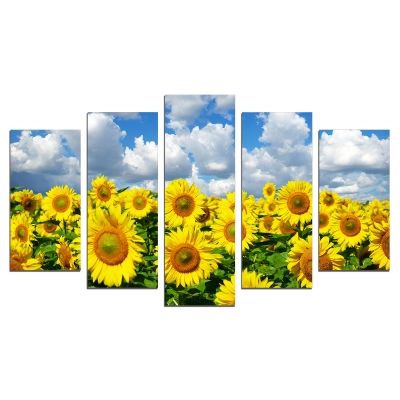 0676 Wall art decoration (set of 5 pieces) Sunflowers field