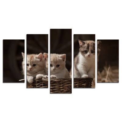 0541 Wall art decoration (set of 5 pieces) Sweet cats