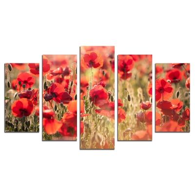 0474 Wall art decoration (set of 5 pieces) Poppies