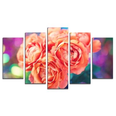 0571 Wall art decoration (set of 5 pieces) Roses on colorful background