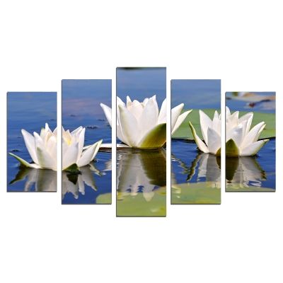 0597 Wall art decoration (set of 5 pieces) Water lillies