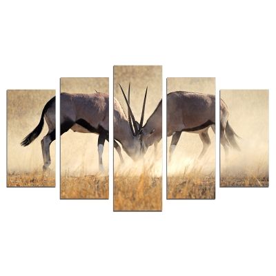 0610 Wall art decoration (set of 5 pieces) Collision