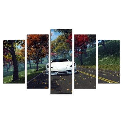 0643 Wall art decoration (set of 5 pieces) Landscape with white car