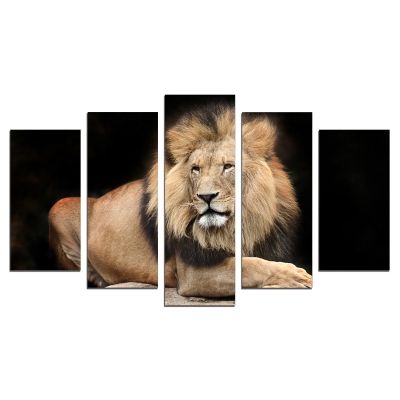 0650 Wall art decoration (set of 5 pieces) Lion