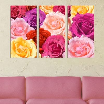 0050 Wall art decoration (set of 3 pieces Roses