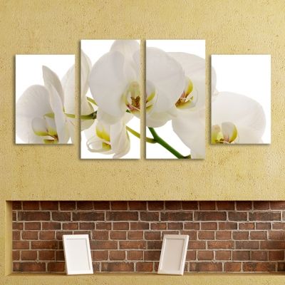 0087 Canvas 4 parts White orchid