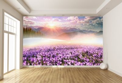 T0680 Wallpaper Colorful mountain landscape
