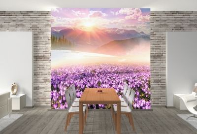 T0680 Wallpaper Colorful mountain landscape