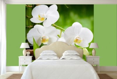 Дзен фототапет за спалня с композиция с бели орхидеи на зелен фон