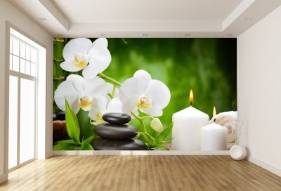 T0146 Wallpaper White orchids on green background
