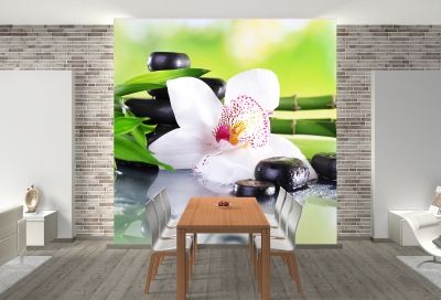 T0162 Wallpaper White orchid with reflection